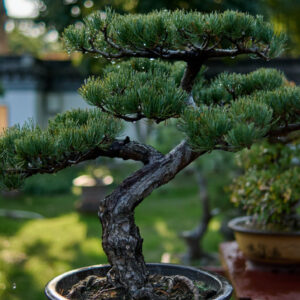 Green Serenity Bonsai